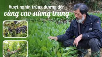 Vượt nghìn trùng dương đến vùng cao sương trắng