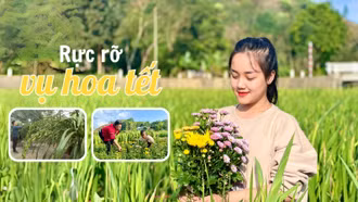 Rực rỡ vụ hoa tết