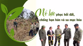 Nỗ lực phục hồi đất, chống hạn hán và sa mạc hóa