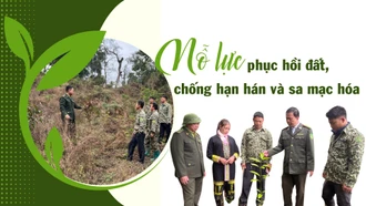 Nỗ lực phục hồi đất, chống hạn hán và sa mạc hóa