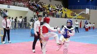 337 vận động viên tham dự Giải Taekwondo các lứa tuổi trẻ tỉnh Lào Cai năm 2024