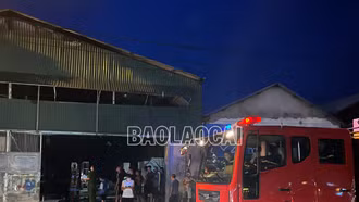 Nghi đốt rác vô tình làm cháy xưởng nội thất