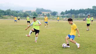 7 đội bóng tham dự Giải bóng đá thanh niên tỉnh năm 2023