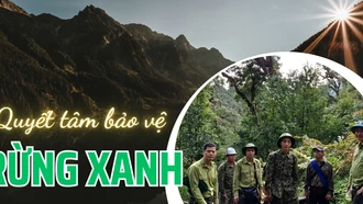 Quyết tâm bảo vệ rừng xanh