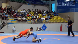 Gần 500 vận động viên tham dự Giải Vô địch các lứa tuổi trẻ vật cổ điển, vật tự do quốc gia năm 2024