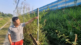 Nở rộ nạn phá rào, mở lối vào cao tốc Nội Bài - Lào Cai