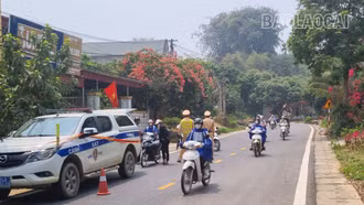 Xử phạt 561 trường hợp liên quan học sinh, sinh viên vi phạm trật tự, an toàn giao thông