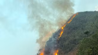 Văn Bàn: Làm cháy đồi lau, sậy, một phụ nữ bị xử phạt 2,25 triệu đồng