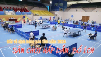 Sân chơi hấp dẫn, bổ ích