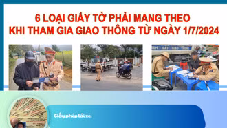 [Infographic] 6 loại giấy tờ phải mang theo khi tham giao thông từ ngày 1/7/2024