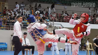 Trao 39 bộ huy chương tại Giải Taekwondo các lứa tuổi trẻ tỉnh Lào Cai năm 2024