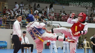 Trao 39 bộ huy chương tại Giải Taekwondo các lứa tuổi trẻ tỉnh Lào Cai năm 2024