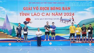 Trao 7 bộ giải tại Giải Vô địch Bóng bàn tỉnh năm 2024