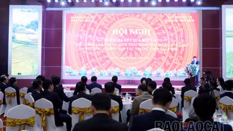 Hai tỉnh Lào Cai – Thái Bình tăng cường hợp tác toàn diện và đi vào chiều sâu