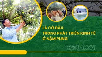 Lá cờ đầu trong phát triển kinh tế ở Nậm Pung