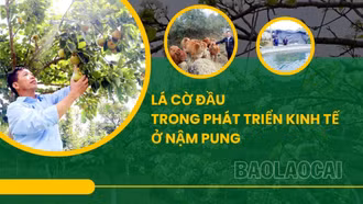 Lá cờ đầu trong phát triển kinh tế ở Nậm Pung