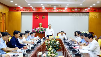 Tiếp tục đổi mới, nâng cao hiệu quả hoạt động của các cơ quan tham mưu, giúp việc Tỉnh ủy, Trường Chính trị, Báo Lào Cai