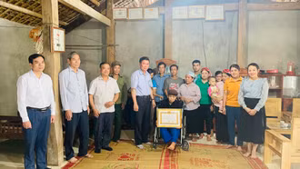 Tặng, truy tặng huy hiệu Đảng cho 278 đảng viên