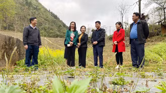 Nâng cao chất lượng giám sát chuyên đề của HĐND tỉnh