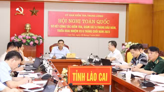 Thi hành kỷ luật 274 tổ chức đảng và 9.950 đảng viên