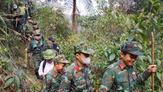 Chính ủy Quân khu 2 gửi thư khen cán bộ, chiến sĩ lực lượng vũ trang tỉnh Lào Cai tham gia chống cháy rừng tại Sa Pa