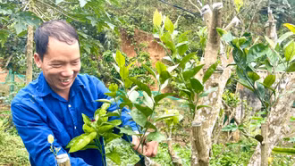 Thanh niên áp dụng khoa học kỹ thuật vào sản xuất, nâng cao hiệu quả kinh tế