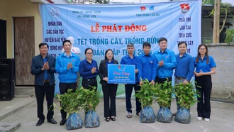 Tỉnh đoàn phát động Tết trồng cây, trồng rừng tại xã Lương Sơn