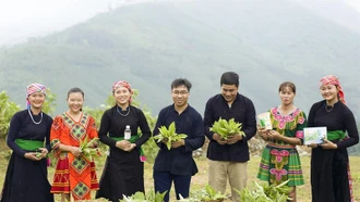 2 dự án phát triển của thanh niên dân tộc thiểu số Lào Cai lọt vào chung kết Cuộc thi "Dự án khởi nghiệp thanh niên nông thôn"