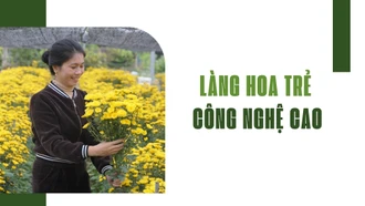 “Làng hoa trẻ” công nghệ cao