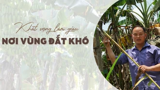 Khát vọng làm giàu nơi vùng đất khó