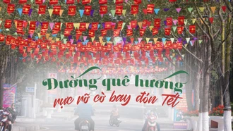 Đường quê hương rực rỡ cờ đỏ sao vàng đón Tết