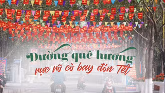 Đường quê hương rực rỡ cờ đỏ sao vàng đón Tết