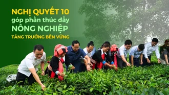 Nghị quyết 10 góp phần thúc đẩy nông nghiệp tăng trưởng bền vững