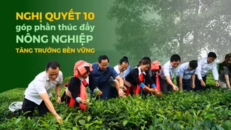 Nghị quyết 10 góp phần thúc đẩy nông nghiệp tăng trưởng bền vững