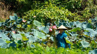 Sáng tạo trong tuyên truyền tại tổ truyền thông cộng đồng thôn An Thành