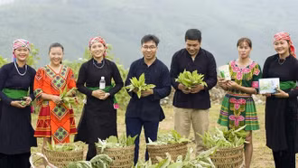 2 dự án phát triển của thanh niên dân tộc thiểu số Lào Cai lọt vào chung kết Cuộc thi "Dự án khởi nghiệp thanh niên nông thôn"