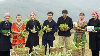 2 dự án phát triển của thanh niên dân tộc thiểu số Lào Cai lọt vào chung kết Cuộc thi "Dự án khởi nghiệp thanh niên nông thôn"