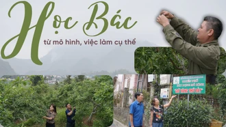 Học và làm theo Bác từ mô hình, việc làm cụ thể