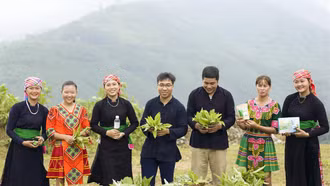 3 dự án của thanh niên dân tộc thiểu số Lào Cai lọt vào vòng bán kết cuộc thi “Dự án khởi nghiệp thanh niên nông thôn” năm 2023