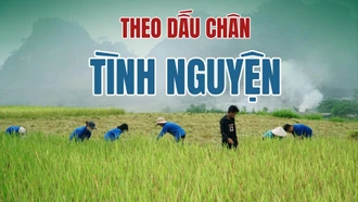 Theo dấu chân tình nguyện