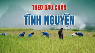 Theo dấu chân tình nguyện