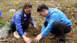 Lào Cai có 2 cá nhân được nhận Giải thưởng "15 tháng 10" 2023