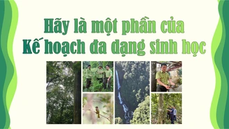 Hãy là một phần của Kế hoạch đa dạng sinh học