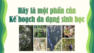 Hãy là một phần của Kế hoạch đa dạng sinh học
