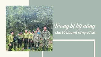 Trang bị kỹ năng cho tổ bảo vệ rừng cơ sở