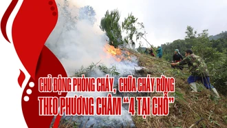 Chủ động phòng cháy, chữa cháy rừng theo phương châm “4 tại chỗ”