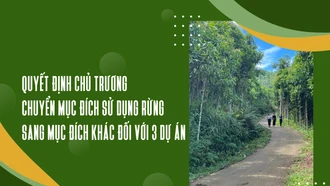 Quyết định chủ trương chuyển mục đích sử dụng rừng sang mục đích khác đối với 3 dự án