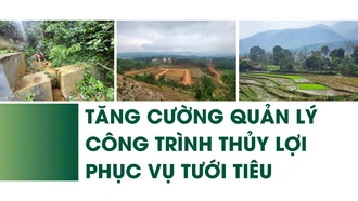 Tăng cường quản lý công trình thủy lợi phục vụ tưới tiêu