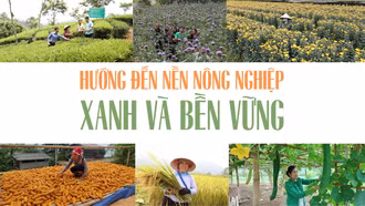 Hướng đến nền nông nghiệp xanh và bền vững