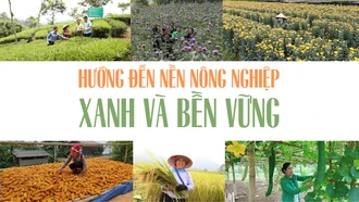 Hướng đến nền nông nghiệp xanh và bền vững